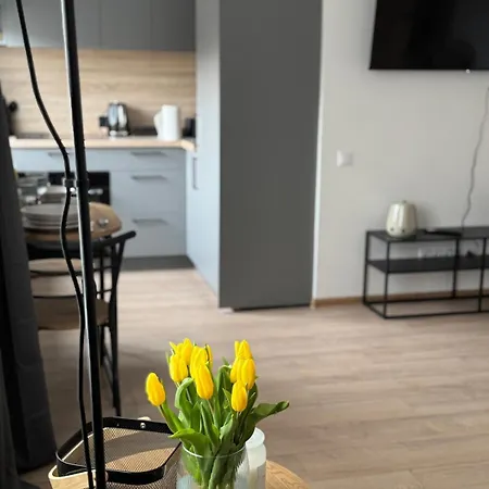 Center Cozy 아파트 옐가바